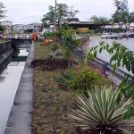 Projeto paisagístico da avenida Gentil Tavares está concluído - Agência Aracaju de Notícias