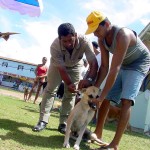 Campanha de vacinação antirábica começa hoje - Foto: Wellington Barreto  Agência Aracaju de Notícias