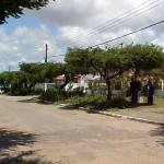 Serviços de podação de árvores são executados no Industrial e no Beira Rio   - Agência Aracaju de Notícias