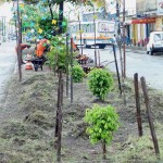 Canteiro da principal avenida do Bugio vai ganhar novo aspecto - Fotos: Abmael Eduardo  Agência Aracaju de Notícias