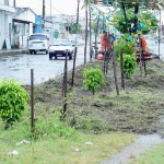 Canteiro da principal avenida do Bugio vai ganhar novo aspecto - Fotos: Abmael Eduardo  Agência Aracaju de Notícias