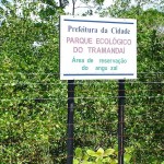 Prefeitura colabora com a preservação dos manguezais de Aracaju - Fotos: Wellington Barreto  Agência Aracaju de Notícias