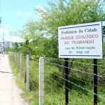 Prefeitura colabora com a preservação dos manguezais de Aracaju - Fotos: Wellington Barreto  Agência Aracaju de Notícias