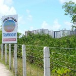 Prefeitura colabora com a preservação dos manguezais de Aracaju - Fotos: Wellington Barreto  Agência Aracaju de Notícias