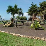 Parque da Sementeira é um espaço verde para lazer dos aracajuanos - Agência Aracaju de Notícias