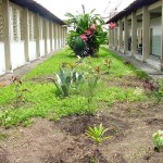 Escola Municipal Tancredo Neves está sendo completamente reformada - Fotos: Abmael Eduardo  AAN