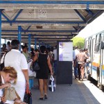 Terminais e pontos de ônibus coletivos recebem nova sinalização - Fotos: Wellington Barreto  AAN