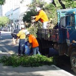 rvores da praça Olímpio Campos recebem serviços de limpeza - Fotos: Abmael Eduardo  AAN