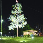 Decoração de Natal do Parque da Sementeira encanta os aracajuanos - Fotos: Abmael Eduardo  Agência Aracaju de Notícias