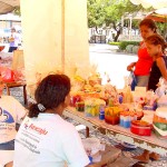Portadores de necessidades especiais expõem trabalhos em feira de artesanato - Fotos : Wellington Barreto  AAN  Agência Aracaju de Notícias