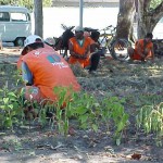 Emsurb realiza serviço de jardinagem no Parque Otávio de Melo Dantas - Agência Aracaju de Notícias