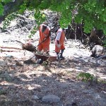 Emsurb realiza limpeza das margens do rio Poxim - Agência Aracaju de Notícias