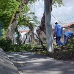 Serviço de podação de árvores intensifica atuação por conta das chuvas - Agência Aracaju de Notícias