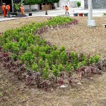 Praça Minervino Costa será entregue amanhã no Bugio - Fotos: Abmael Eduardo  AAN