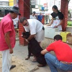 Campanha de vacinação antirábica encerra amanhã - Agência Aracaju de Notícias