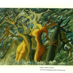 Exposição sobre mulheres será aberta hoje na galeria Álvaro Santos - Fotos: Márcio Dantas  AAN