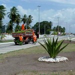 Canteiro central da avenida Júlio César Leite foi restaurado pela PMA - Agência Aracaju de Notícias