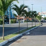 Serviço de jardinagem nas avenidas Ivo do Prado e Beira Mar deixa canteiros mais vistosos  - Agência Aracaju de Notícias