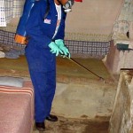 Agentes da Dengue encontram larva do mosquito transmissor no Presídio de Aracaju - Agência Aracaju de Notícias