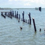 Estacas do antigo ancoradouro da Petrobras serão retiradas do rio Sergipe - Fotos: Márcio Dantas  AAN  Clique na foto e amplie
