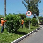 Emsurb executa poda de árvores nas avenidas Pedro Calazans e Beira Mar - Agência Aracaju de Notícias  Clique na foto e amplie