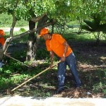 Praças do Leite Neto e Sol Nascente recebem serviços de manutenção da Emsurb - Agência Aracaju de Notícias  Clique na foto e amplie