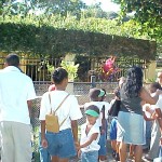 Crianças da escola Tenisson Ribeiro visitam o zoológico do Parque da Cidade - Fotos: Walter Martins  AAN  Clique na foto e amplie