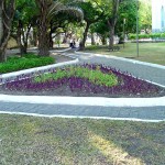 Ornamentação de jardins da cidade deixa Aracaju mais bonita - Fotos: Abmael Eduardo  AAN  Clique na foto e amplie