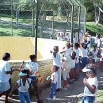 Crianças da escola Tenisson Ribeiro visitam o zoológico do Parque da Cidade - Fotos: Walter Martins  AAN  Clique na foto e amplie