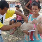 Quase 48 mil animais foram vacinados durante Campanha Antirábica - Agência Aracaju de Notícias  Clique na foto e amplie