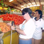 Professores vivenciam no mercado o diaadia de um deficiente visual - Fotos: Walter Martins  AAN  Clique na foto e amplie