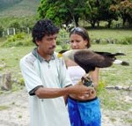 PMA proporciona aulas de preservação ambiental para jovens no Parque dos Falcões - Fotos: Abmael Eduardo  AAN  Clique na foto e amplie