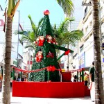 Centro da capital se prepara para receber Papai Noel - Fotos: Wellington Barreto