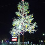 Decoração natalina do Parque da Sementeira será entregue hoje - Agência Aracaju de Notícias