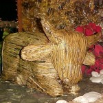 Decoração natalina do Parque da Sementeira será entregue hoje - Agência Aracaju de Notícias