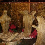 Decoração natalina do Parque da Sementeira será entregue hoje - Agência Aracaju de Notícias