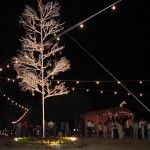 Prefeito entrega decoração natalina no Parque da Sementeira  - Fotos: Abmael Eduardo