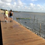 Caminhadas matinais já fazem parte da rotina da orla do bairro Industrial  - Fotos: Márcio Dantas