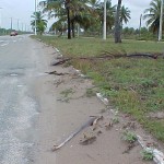 Prefeitura executa serviços de limpeza na avenida Melício Machado - Abandono deixava má impressão aos turistas