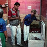 Vigilância Sanitária Municipal atua em diversos pontos do PréCaju 2004 - Fotos: Márcio Garcez