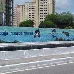 desenhos trazem mensagens educativas