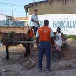 Serviço de apreensão de animais procura evitar riscos de acidentes nas ruas de Aracaju  - Fiscalização aos carroceiros é feita pela Emsurb