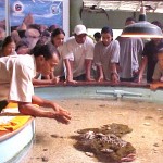 Estudantes da rede municipal visitam Oceanário  - Fotos: Walter Martins