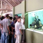 Estudantes do município visitam Oceanário  - Fotos: Walter Martins