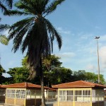 Praça Dom José Thomaz ganha novo aspecto - Fotos: Márcio Garcez