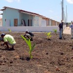 Residencial Brisa Mar realizará o sonho da casa própria para mais 496 famílias - Fotos: Márcio Garcez