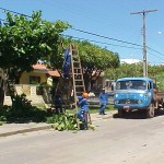 Emsurb atende solicitações da comunidade e realiza serviços de podação -