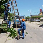 Atendimento ao cidadão ajuda na criação do cronograma de serviços da cidade - Podação também é uma das atribuições