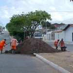 Ornamentação de áreas verdes é feita com freqüência pela PMA -