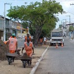 Ornamentação de áreas verdes é feita com freqüência pela PMA -